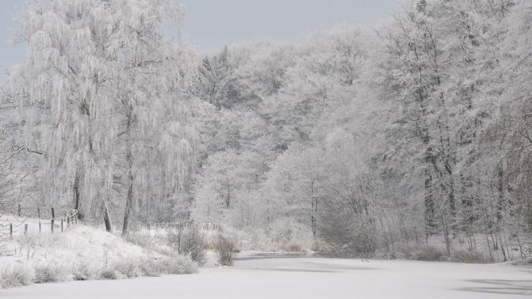 A hidegben történő munkavégzés veszélyei