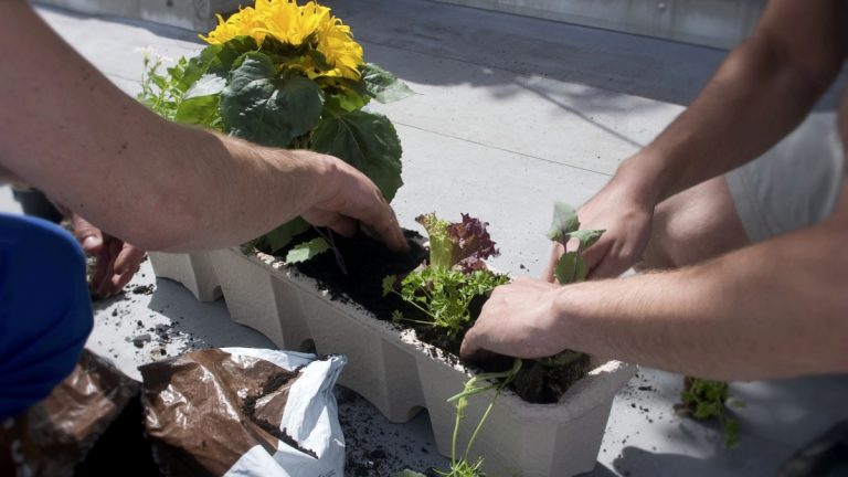 Díjazták a felelős foglalkoztatókat