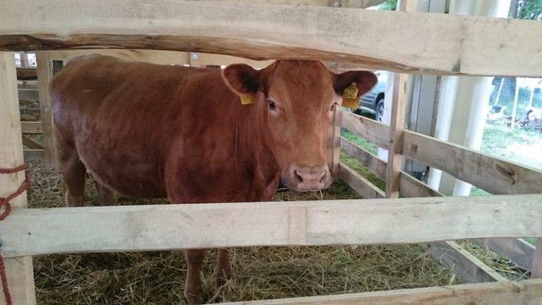 Agrárexpót és szántóföldi napokat szervez a NAK