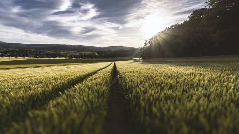 Agrárattasékat küld Varsó Afrikába és a Közel-Keletre