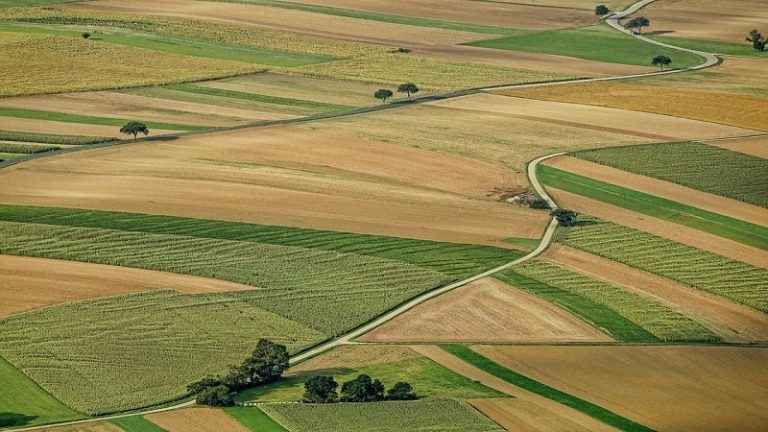 Spekulánsok verik fel a romániai termőföldek árát