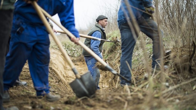 Májusban csökkent az álláskeresők száma